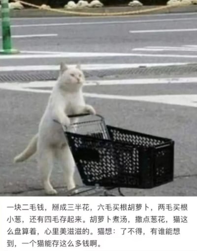 这是一张静态图文混排单图，上半部分是实拍画面，一只白色猫咪拟人化直立站在马路边，用两只前爪扶住黑色超市购物篮的把手，做出出门推篮买菜的姿态；下半部分配有小猫文学风格的文字，内容为猫咪盘算分配一块二毛钱，六毛买胡萝卜、两毛买小葱，剩下四毛钱存起来，感慨自己一个猫能存下这么多钱，整体文风质朴治愈。