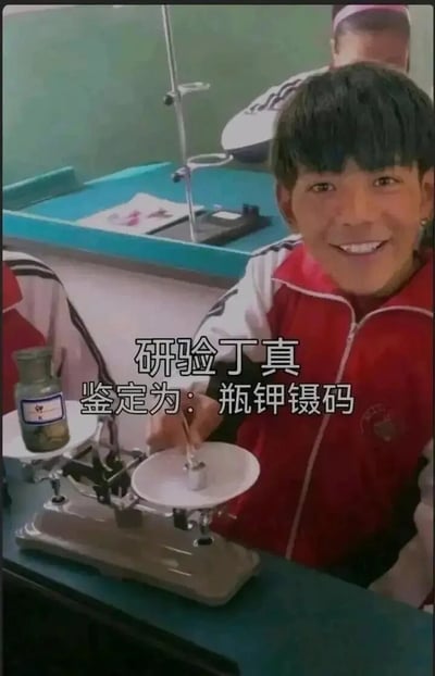 这是一张经过二次创作的趣味梗图，画面中网红丁真穿着红白相间的校服，面带灿烂笑容，身处实验室场景中，面前摆放着一台天平，左侧托盘放置着一瓶标注“钾”的化学试剂，他正手持镊子夹取砝码放在右侧托盘上。图中添加了玩梗文字“研验丁真 鉴定为：瓶钾镊码”，利用画面中的物品（试剂瓶、钾试剂、镊子、砝码）的谐音制造趣味效果，是对丁真相关场景的娱乐化改编。