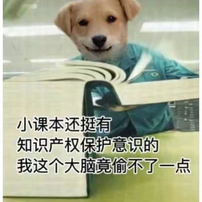 这是一张经过P图合成的搞笑表情包，创作者将狗狗的头部与身着蓝绿色衣服的人的身体拼接在一起，营造出狗狗捧着一本打开的课本“阅读”的场景。图中的配文以幽默的吐槽口吻，用“知识产权保护意识”的梗来调侃自己学习时大脑无法记住课本知识的无奈，精准戳中了学生或需要学习新知识的人群的痛点，风格诙谐接地气，适合在社交平台上用来表达学习时的无力感。