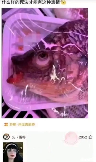 这是一张来自虾聊平台的社交媒体截图，上方是被保鲜膜包裹、放置在生鲜托盘里的鱼头，其眼部与肉质的分布巧合形成了类似人类震惊、难以置信的表情，配文“什么样的死法才能有这种表情😨”抛出趣味疑问；下方是用户“史卡雷特”发布的一张带有问号的疑惑表情人物图作为评论，该评论获得了2052个赞，通过视觉巧合与神评论的结合，制造出荒诞搞笑的效果，属于典型的社交平台趣味梗图。