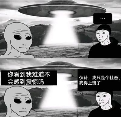 这是一张上下分栏的黑白连环卡通梗图，画面背景是带有UFO的郊外场景。上方画面中，外星人和叼着烟的社畜角色相对而立，社畜面无表情沉默着；下方画面里，外星人露出疑惑的神态，向社畜发问“你看到我难道不会感到震惊吗”，而社畜依旧神态淡然，回应“伙计，我只是个社畜，我得上班了”。整幅图通过外星人的期待与社畜的麻木形成强烈反差，调侃了当代社畜被工作消磨得失去对新鲜事物的好奇心，满心只有上班的无奈状态，精准戳中职场社畜的情绪痛点。