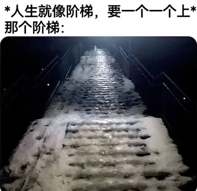 图片上方配有文字'*人生就像阶梯，要一个一个上* 那个阶梯：'，下方是一张实拍的结冰楼梯照片。楼梯表面覆盖着厚厚的冰层，台阶湿滑反光，两侧有黑色扶手，整体场景昏暗，仅顶部有微光照射。通过文字与图像的反差，幽默地表达了理想中循序渐进的人生阶梯，在现实中可能是湿滑难行的'冰梯'，充满艰辛与挑战。