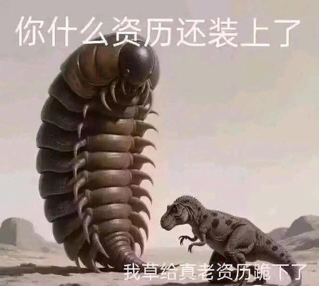 老资历