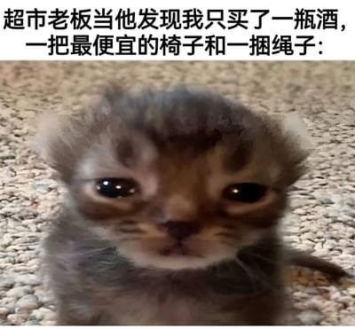 这张梗图上方配有文字：'超市老板当他发现我只买了一瓶酒，一把最便宜的椅子和一捆绳子：'，下方是一只表情悲伤、眼神忧郁的小猫特写。图片通过将小猫的表情与文字描述的场景结合，幽默地表现了超市老板看到顾客购买这几样组合起来略显可疑的物品时可能产生的担忧反应。