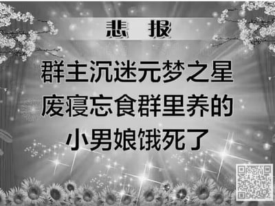 这是一张采用“悲报”风格制作的搞笑玩梗图，整体为黑白配色，背景是带有闪光效果、向日葵和花枝装饰的底图。顶部用醒目的“悲报”字样引出内容，下方依次排列着“群主沉迷元梦之星”“废寝忘食群里养的”“小男娘饿死了”的文字，用严肃的悲报形式包装了群主沉迷游戏《元梦之星》被群友调侃的内容，属于群内的趣味玩笑，通过夸张的表述来制造搞笑效果，没有双关、谐音梗等内容。