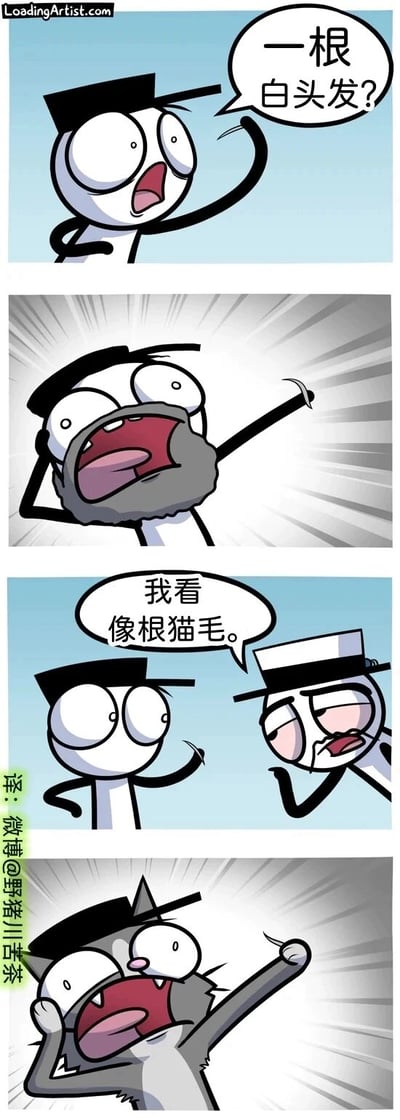这是一组四格连环卡通搞笑漫画，以一根毛发为线索制造乌龙笑点：第一格中，戴黑帽子的白色卡通角色发现一根毛发，惊讶地喊出“一根白头发？”，表现出对衰老的恐慌；第二格中，该角色瞬间崩溃，脸上长出灰色胡子，夸张地呈现出“变老”的状态，强化焦虑情绪；第三格中，另一位戴白帽子的白色卡通角色见状，一脸嫌弃地摆手表示“我看像根猫毛。”，打破了之前的恐慌；第四格中，画面切换成一只灰色猫咪，它拿着这根毛发，同样露出崩溃惊恐的表情，仿佛自己也因为“长白毛”而陷入衰老焦虑，完成了乌龙情绪的传递，用夸张的手法调侃了对衰老的焦虑心态，充满喜剧效果。