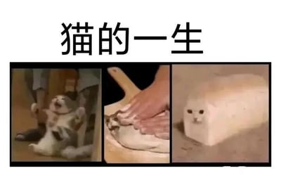 这是一张多图拼接的连环梗图，上方配有文字‘猫的一生’，由三个画面组成，用夸张荒诞的手法调侃猫咪的一生：第一个画面中，一只猫咪仰躺在地上，张着嘴，看起来像是被控制住，模拟制作面包前的准备状态；第二个画面里，一双手在一块类似面团的物体上揉搓，该物体的头部是猫咪的头，仿佛把猫咪当成面团来揉制；第三个画面中，猫咪的头部被嵌入一个长方体的面包形状物体中，看起来像是被做成了‘猫面包’。整组图通过P图改编的方式，将猫咪的一生类比成制作面包的过程，利用猫咪柔软的身体特性，制造出搞笑幽默的效果，深受宠物爱好者喜爱。