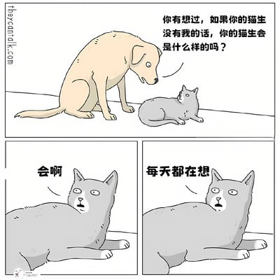 这是一幅三格漫画，描绘了一只浅黄色的狗和一只灰色的猫之间的有趣对话。第一格中，狗低头看着躺着的猫问道："你有想过，如果你的猫生没有我的话，你的猫生会是什么样的吗？"。第二格中，猫简单地回答："会啊"。第三格中，猫继续说道："每天都在想"，展现出猫咪特有的淡定和幽默。