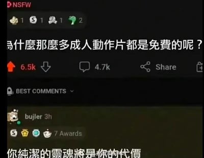 这是一张社交媒体平台的截图，显示了一个帖子和一条热门评论。帖子的主要内容是一个问题：“为什么那么多成人动作片都是免费的呢？”，下方有6.5k的点赞数和4.7k的评论数。热门评论来自用户“bujler”，内容为“你纯潔的靈魂將是代價”，该评论获得了7个奖项。截图顶部有NSFW标识和一些平台交互图标。
