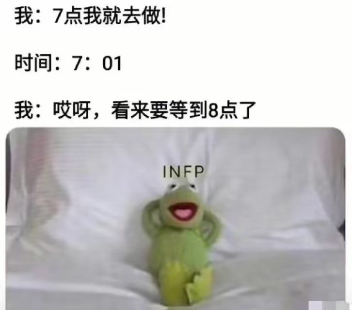 布偶秀