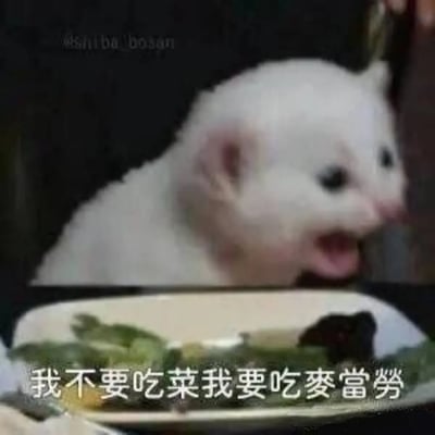 这张梗图中，一只白色猫咪表情愤怒，似乎在大喊，前方餐桌上有蔬菜盘。配文“我不要吃菜我要吃麦当劳”，表达出强烈的‘挑食’和‘渴望吃快餐’的情绪。图片采用了名为“生气猫”/“尖叫猫”经典素材，并用幽默夸张的方式吐槽现实生活中不想吃健康食物、只想吃垃圾食品的日常。结尾的‘麦当劳’是知名快餐品牌，有双关和反差萌效果。