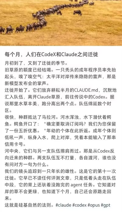 这是一张图文混排的搞笑网络梗图，上部使用非洲草原上角马群体大迁徙的实拍照片作为视觉元素，下部搭配模仿《动物世界》解说口吻的文案，将程序员群体每月在Claude、Codex等不同大语言模型AI服务之间切换订阅的行为类比成动物的季节性迁徙：文案调侃月初AI服务可用额度耗尽后，程序员会为了更高的模型跑分从Claude迁移到Codex，退订过程中会遇到平台推出的折扣挽留，同时也存在反向从Codex迁回Claude的人群，资深用户早已习惯这种循环往复的切换，最后将这种现象总结为「硅基自然的法则」，末尾附带了相关AI产品的话题标签，整体充满对当下程序员使用AI工具的普遍现状的戏谑感。