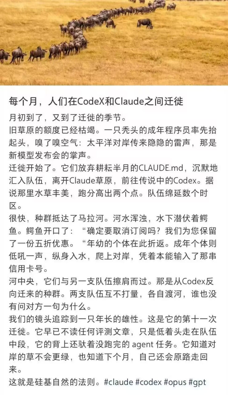 野生动物实拍素材