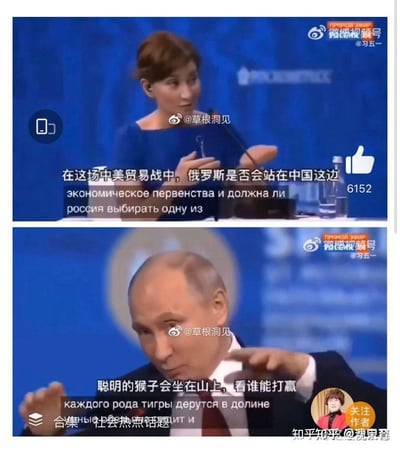 这是一张由上下两段公开活动视频截图拼接而成的趣味梗图，上图呈现一位女记者在公开场合向普京提问，问题为“在这场中美贸易战中，俄罗斯是否会站在中国这边”；下图是普京做出手势回应，配文用“聪明的猴子会坐在山上，看谁能打赢”的通俗比喻，对应俄文谚语的本土化解读，实际表达“坐山观虎斗”的观望立场，将严肃的国际政治话题用诙谐的方式解读，图中同时配有俄文原文与中文翻译字幕，整体风格幽默接地气。