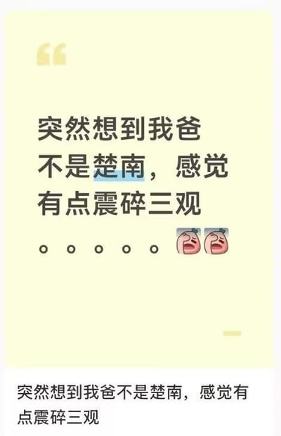 这是一张以浅黄色为背景的搞笑梗图，主体展示了黑色文案“突然想到我爸不是楚南，感觉有点震碎三观”，其中“楚南”二字被浅蓝色高亮标记，文案后方配有五个圆点省略号和两个表情痛苦、捂脸崩溃的粉色卡通形象，图片底部还重复了一遍同款文案内容，整体通过将网文常见男主角姓名套用到现实亲属身份上的离谱设定，制造无厘头的反差搞笑效果。