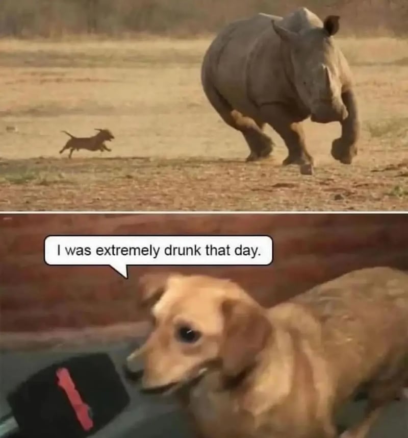 犀牛