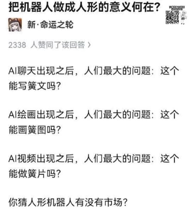 这是一张社交媒体截图，以幽默方式探讨人形机器人的市场前景。图片顶部提出问题"把机器人做成人形的意义何在？"，随后列举了人们对不同AI技术的关注点：AI聊天能否写黄文、AI绘画能否画簧图、AI视频能否做簧片，最后以"你猜人形机器人有没有市场？"作为调侃式结论。
