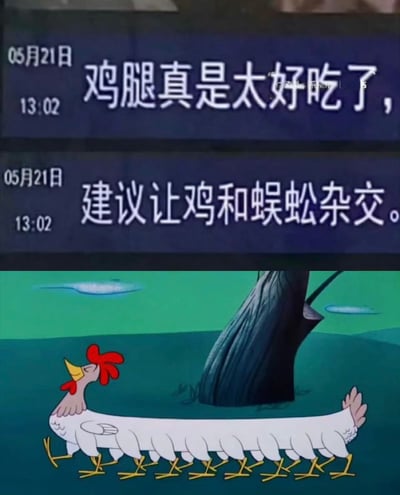 图片分为上下两部分。上半部分是两条模拟聊天记录的文本，时间均为05月21日13:02，内容分别是“鸡腿真是太好吃了,”和“建议让鸡和蜈蚣杂交。”。下半部分是一幅卡通插画，描绘了一只具有鸡的头部和身体，但却有着蜈蚣般众多腿的杂交生物形象，正站在一棵树旁。这种创意组合形成了一个幽默的视觉笑话，暗示杂交后可以获得更多鸡腿。