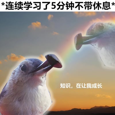 图片上方配有文字“*连续学习了5分钟不带休息*”，主体画面是两只鸟分别叼着蘑菇，背景为带有彩虹和橙色云彩的日落景象，下方文字为“知识，在让我成长”。整体通过夸张的方式幽默展现短时间学习后产生的成就感，属于自嘲式搞笑内容。