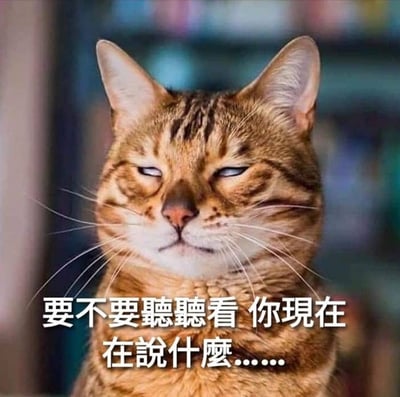 这张梗图是一只带着鄙视和不屑表情的猫，搭配台式幽默的文字：“要不要聽聽看 你現在在說什麼......”。整体表达出对他人言论的质疑和轻蔑，常被网友用来吐槽对方说了无厘头或者不知道在说啥的话。猫咪的表情十分生动，与文字形成强烈的反差和幽默感。用语偏台湾风格，自带调侃和轻微双关，例如“听听看”与猫的“耳朵很灵敏”形象巧妙结合，有轻微语义玩梗成分。
