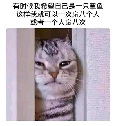 图片上方有一段文字：'有时候我希望自己是一只章鱼 这样我就可以一次扇八个人 或者一个人扇八次'。下方是一只虎斑猫从门缝中探出头来，表情看起来有些不爽和不耐烦，眼神犀利地盯着前方。图片通过将猫的表情与幽默文字结合，表达了一种想要发泄不满的情绪。
