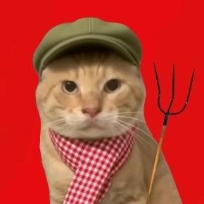 一只橘色猫咪，头戴绿色鸭舌帽，脖子上围着红白格子围巾，前爪握着一把木质柄三叉戟，背景为纯红色。猫咪表情严肃，与可爱的外形和装扮形成幽默的反差萌效果。
