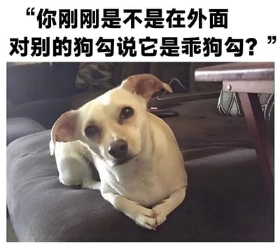 图片上方有一行黑色文字："你刚刚是不是在外面对别的狗勾说它是乖狗勾？"，下方是一只白色小狗趴在灰色沙发上，耳朵耷拉着，眼神带着疑惑和质问的表情看着前方，仿佛在向主人确认是否夸奖了其他狗狗。