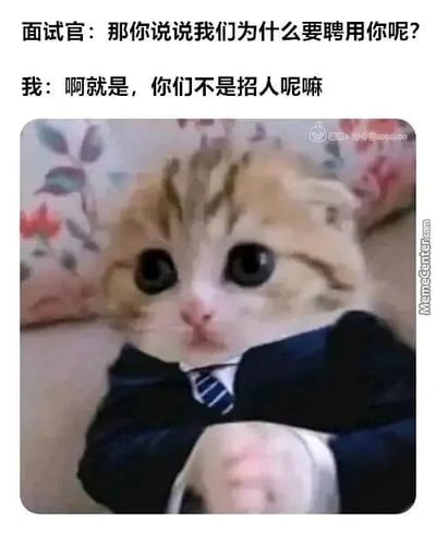 这是一张图文混排的P图改编搞笑表情包，上方呈现面试场景的对话：面试官向面试者提问“那你说说我们为什么要聘用你呢？”，面试者的角色由一只被P上深色西装和蓝白条纹领带的猫咪担任，猫咪有着圆溜溜的大眼睛，表情无辜又带着局促，双手交握放在身前，搭配的回答是“啊就是，你们不是招人呢嘛”。这个回答看似是无意义的废话，却精准还原了很多人在面试时面对尖锐问题，大脑空白只能用最直白、无厘头的话回应的窘迫状态，用可爱的猫咪形象放大了这种职场面试里的尴尬瞬间，制造出强烈的幽默效果，很容易引发职场人的共鸣。