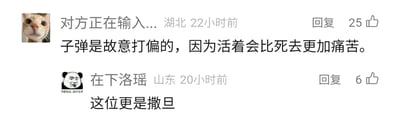这是一张横版的社交媒体评论区截图，属于图文混排内容。截图中展示了两条互动的用户评论：第一条评论的用户昵称显示为“对方正在输入...”，所在地标注为湖北，发布于22小时前，头像是一只浅橘色的猫，评论内容为“子弹是故意打偏的，因为活着会比死去更加痛苦。”，这条评论获得了25个点赞，内容是一种暗黑向的脑洞设定，将“打偏子弹”的行为赋予了让承受者遭受更持久精神折磨的残酷动机；第二条评论的用户昵称是“在下洛瑶”，所在地标注为山东，发布于20小时前，头像是带有“你害怕点，我不正常”文字的搞怪熊猫表情包，评论内容为“这位更是撒旦”，是对第一条评论的回应，用“撒旦”这个代表邪恶冷酷的形象调侃前者的脑洞，这条评论获得了6个点赞。两条评论形成了典型的网络讨论互动，展现了用户在话题中提出暗黑脑洞并互相调侃的场景。