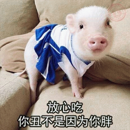 穿裙子的小猪安慰：放心吃你丑不是因为你胖