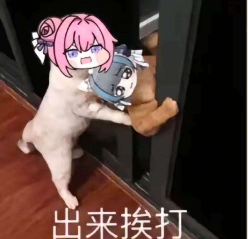 Doro表情包：出来挨打名场面