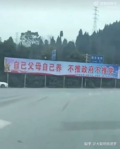 这是一张户外实拍照片，画面核心是道路旁的大型户外广告牌，以白色为底色、红色醒目字体写着“自己父母自己养 不推政府不推党”，广告牌下方有落款小字。背景是覆盖茂密植被的山坡，右侧可见“鹏东驾校”的蓝色指示牌，左下角露出一辆白色汽车的部分车身，整体场景位于户外道路区域，天气显得较为阴沉。该标语传递出倡导子女自行承担赡养父母责任、不将责任推给政府和党的理念。