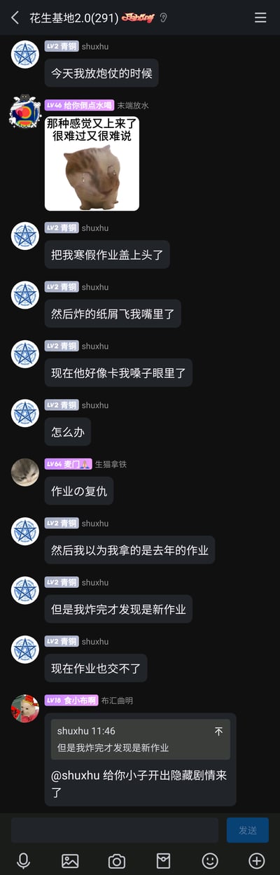 这是QQ群“花生基地2.0(291)”的聊天记录截图，群成员shuxhu分享了自己的倒霉经历：放炮仗时误将新的寒假作业当成旧作业，被炮仗盖在头上炸了，作业被炸碎后纸屑飞进嘴里卡了喉咙，最后发现炸的是要交的新作业，导致作业无法上交。群友们用表情包和玩梗的方式回复他，比如发送捂脸哭泣的猫咪表情包表达共情，用“作业の复仇”“给你小子开出隐藏剧情来了”这样的玩梗内容调侃，整个对话充满搞笑的社死氛围，展现了年轻人分享生活趣事、互相玩梗的社群互动。