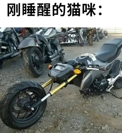 图片上方有醒目的黑色大字标题“刚睡醒的猫咪：”，下方是一张实拍照片。照片中一辆黑色摩托车侧倒在布满碎石的地面上，前轮倾斜，车把歪向一边，车身姿态显得有些“慵懒”和“没睡醒”。背景中还有多辆停放的摩托车。图片通过将倒地摩托车的姿态拟人化，幽默地比喻成刚睡醒、还处于迷糊状态的猫咪，形成有趣的视觉联想。