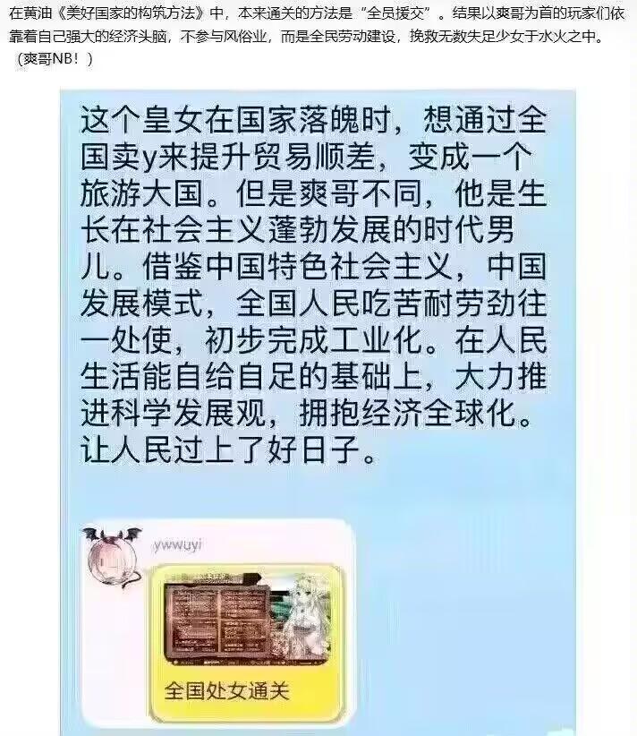 《美好国家的构筑方法》游戏玩家