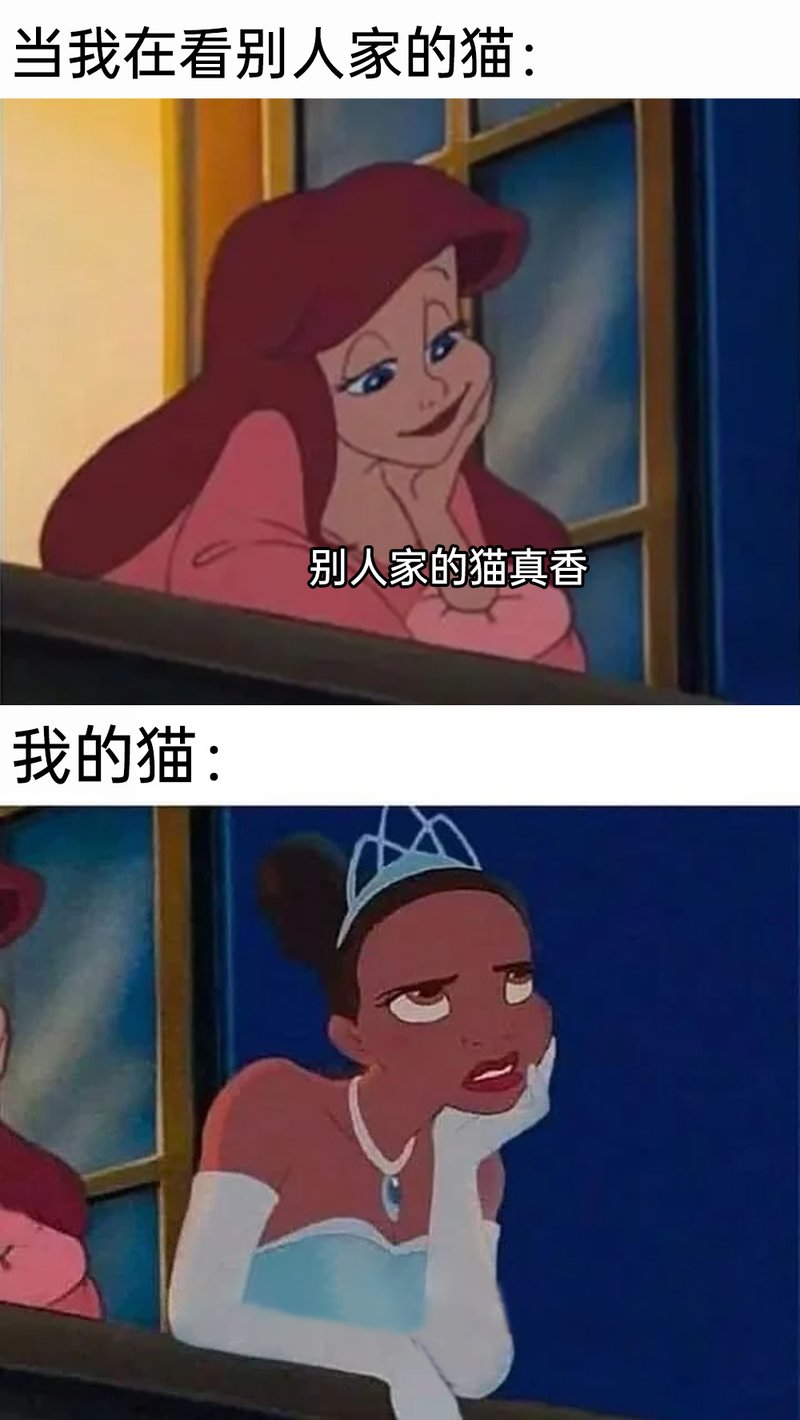 爱丽儿