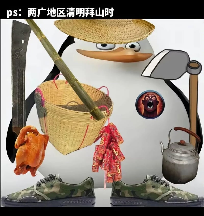马达加斯加企鹅