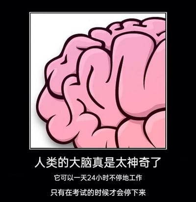 这是一张趣味吐槽类的顶配底文图，画面上方是一幅风格简洁圆润的粉色卡通大脑插画，线条清晰，色彩柔和；下方是黑色背景搭配的白色文字，主标题为“人类的大脑真是太神奇了”，副标题补充说明“它可以一天24小时不停地工作，只有在考试的时候才会停下来”。这张图用夸张的反差感制造笑点，调侃学生群体在考试时常常出现大脑空白、无法正常思考的窘迫状态，以幽默的方式引发有考试经历的受众共鸣，属于轻松解压的网络趣味内容。