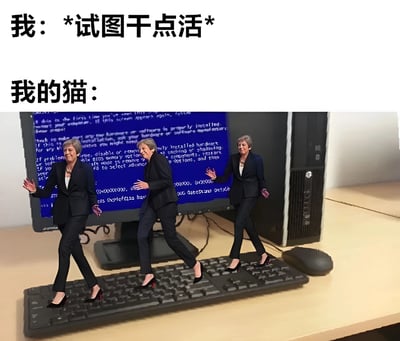 这张梗图通过幽默对比的方式，展现了当主人试图工作时猫咪的干扰行为。图片上方文字分为两行，分别是“我：*试图干点活*”和“我的猫：”，下方则是经过编辑的图片内容——前英国首相特蕾莎·梅的三个身影正迈步走在电脑键盘上，背景是显示着蓝色错误代码的电脑屏幕。这种将政治人物形象与猫咪干扰工作场景结合的创意，形成了强烈的喜剧效果。