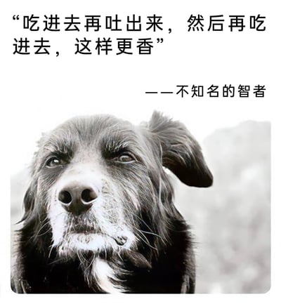 这是一张图文结合的搞笑梗图，上方以智者语录的形式呈现文字：“吃进去再吐出来，然后再吃进去，这样更香”，署名“不知名的智者”；下方是一只面部毛发脏乱、眼神沧桑的老狗，它抬头望向上方，表情凝重，仿佛正是这句“语录”的“创作者”。图中文字调侃了狗狗会将食物吐出后再进食的习性，通过将动物习性包装成智者的人生感悟，制造出强烈的反差感，从而达到搞笑幽默的效果。
