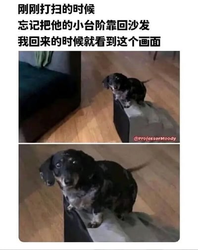 这张梗图包含两张照片，上方文字描述主人打扫时忘记将狗狗的小台阶靠回沙发，返回后看到腊肠犬坐在台阶上的场景。第一张图是狗狗坐在台阶上的远景，第二张是近距离特写，狗狗眼神愧疚又无辜，画面温馨可爱，传递出宠物与主人间的趣味互动。
