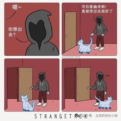 四格连环漫画描绘了幽默日常：hooded人（黑色连帽衫、无面部特征）听到幽灵猫“喵~”叫，询问“你想出去？”；接着站在木门前对蓝色半透明幽灵猫说“可你是幽灵啊！直接穿过去就好了”；随后hooded人动手转动门把手；最后门被打开发出“咔哒”声，幽灵猫顺利走进门内。通过幽灵本可穿墙却仍被开门的反差，展现可爱互动。