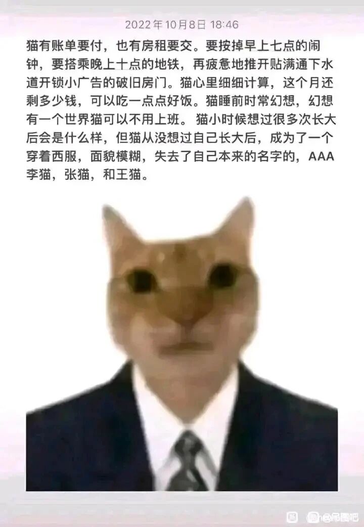 普通职场职员