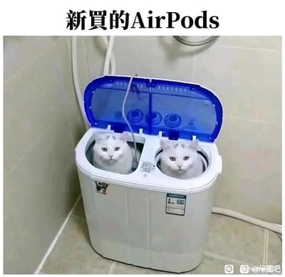 这是一张创意P图类搞笑梗图，画面中两只长相相似的白色猫咪被分别放在双桶洗衣机的两个桶内，猫咪一脸茫然地从桶里探出头，直视镜头。图片上方配有文字“新买的AirPods”，利用双桶洗衣机的双桶造型和AirPods无线耳机的双耳机外观做视觉玩梗，将猫咪调侃成“大号AirPods”，结合猫咪懵懂的表情，营造出滑稽有趣的效果。