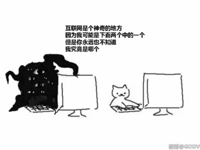黑白线稿风格的双格对比图，上方配有文字'互联网是个神奇的地方 因为我可能是下面两个中的一个 但是你永远也不知道 我究竟是哪个'。左侧格子中，一个长着多只眼睛的黑色暗影生物躲在电脑屏幕后，形象诡异；右侧格子中，一只可爱的白猫正坐在电脑前用爪子打字，神态平静。通过强烈的视觉对比，幽默地表达了网络身份的匿名性和不确定性——你永远不知道屏幕另一端是怪物还是萌宠。
