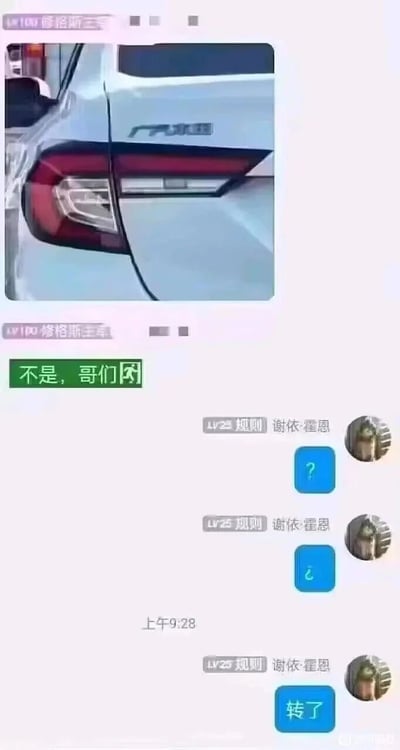 这是一张社交聊天平台的记录截图，内容为用户“LV100 修格斯主宰”发送了一张广汽本田汽车的车尾图片，并配文“不是，哥们😅”，利用“广汽本田”的谐音“请转账给我”来暗示另一用户“LV25 规则 谢依·霍恩”给自己转账。对方起初未能理解这个谐音梗，连续发送问号和反向问号表达疑惑，之后领会了含义，发送消息“转了”，完成了这次充满趣味的玩梗式互动，整个对话通过汉字谐音制造出巧妙的玩笑效果。
