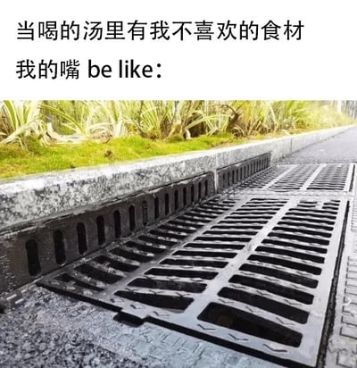 这是一张搞笑吐槽类梗图，顶部为白色背景配黑色文字“当喝的汤里有我不喜欢的食材 我的嘴 be like:”，下方配图是路边带密集长条形孔洞的排水口格栅，用排水口只透水、过滤固体杂质的特点，夸张比喻人在喝到有自己不喜欢食材的汤时，嘴巴会像排水口一样滤掉食材只喝下汤，生动形象地表现了挑食人群喝汤时的状态，充满生活趣味，容易引发网友共鸣。