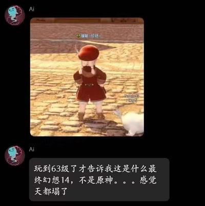 这是一张聊天记录形式的梗图，上方是《最终幻想14》里的拉拉菲尔种族角色的背影截图，角色身旁还有一只游戏内的绒盖幻猫；下方是聊天消息，玩家吐槽自己玩到63级才发现自己玩的是《最终幻想14》，一直误以为是《原神》，表现出崩溃又无奈的搞笑心态。两款游戏画风有一定相似性，加上玩家的粗心大意导致了这场乌龙，引发不少玩家共鸣。