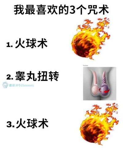 这是一张用恶搞方式展示“火球术”和“睾丸扭转”作为魔法咒语的梗图，文本写着“我最喜欢的3个咒术”，第1和第3项是“火球术”，配以火球火焰图片，第二项是“睾丸扭转”，配以男性生殖器医学插画，暗指睾丸扭转是一种极其痛苦又令人难以忍受的技巧，与其他两个“魔法攻击”类咒语并列，形成荒谬的幽默效果。

谐音/双关说明：梗图用“睾丸扭转”强行夹在两个“火球术”之间，制造出夹击和恶搞男性生理痛点的笑点，普通场景和魔法咒语的反差感构成了主要幽默。