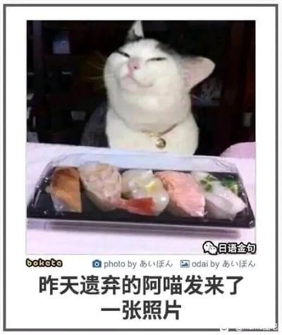 暂无描述